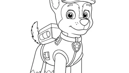 Paw Patrol Kurtarıcı Köpekler
